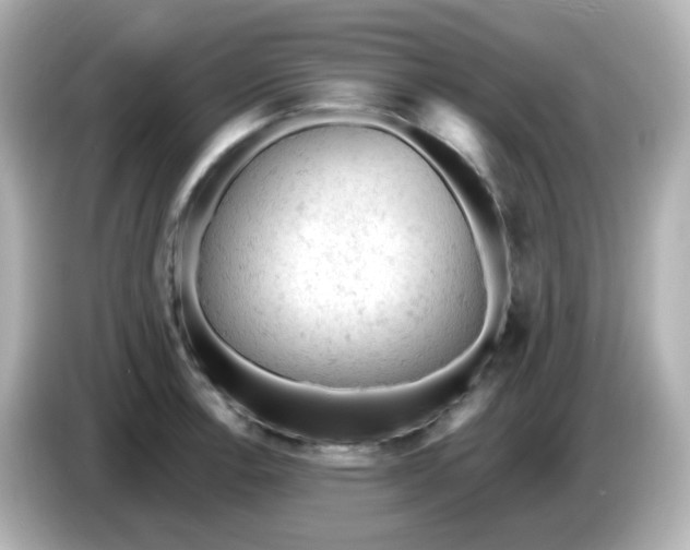 X0000086031138200704091127