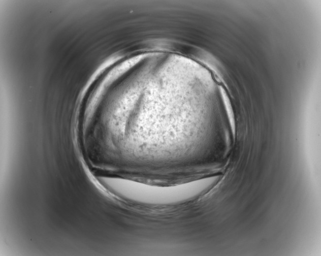 X0000086031139200704091127