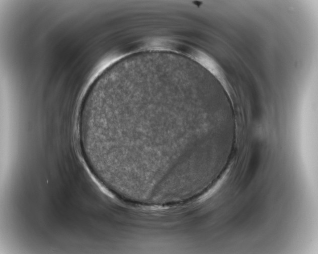 X0000086031141200704091127