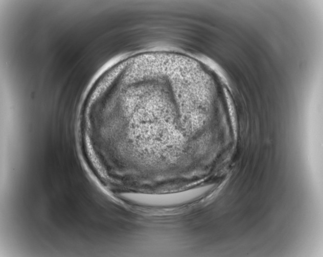 X0000086031142200704091127