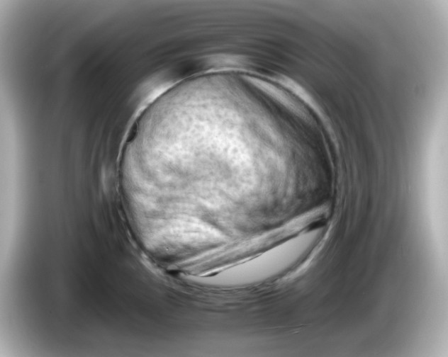 X0000086031145200704091127