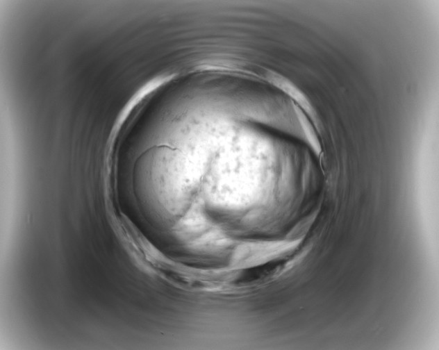 X0000086031146200704091127