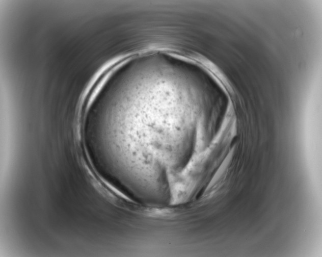 X0000086031148200704091127