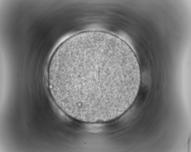 X0000086031150200704091128