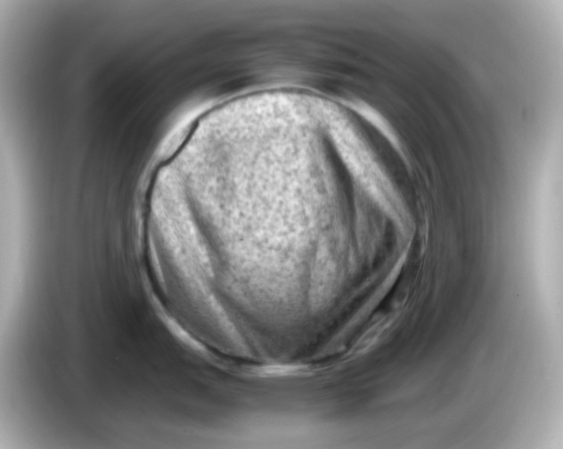 X0000086031151200704091128