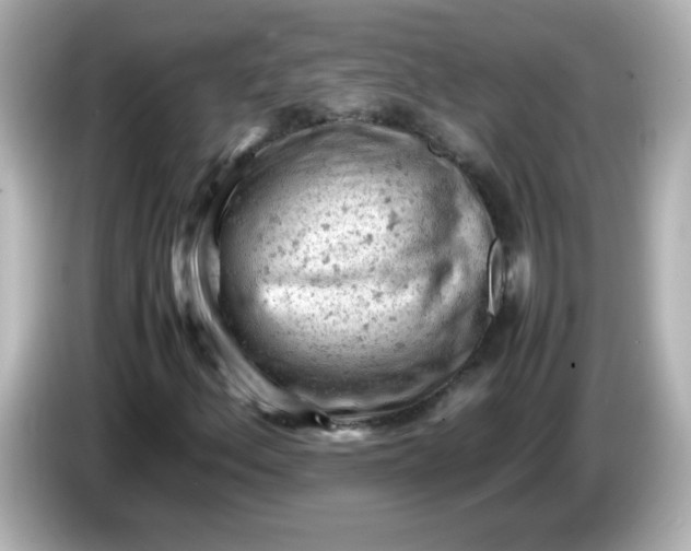 X0000086031156200704091127