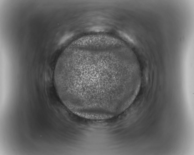 X0000086031158200704091127