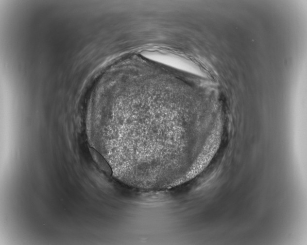 X0000086031159200704091127