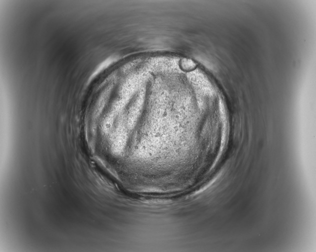 X0000086031163200704091127