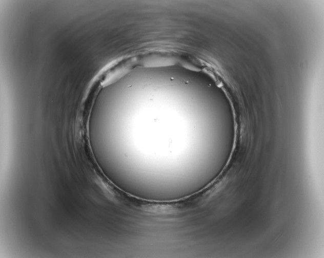 X0000086031164200704091127