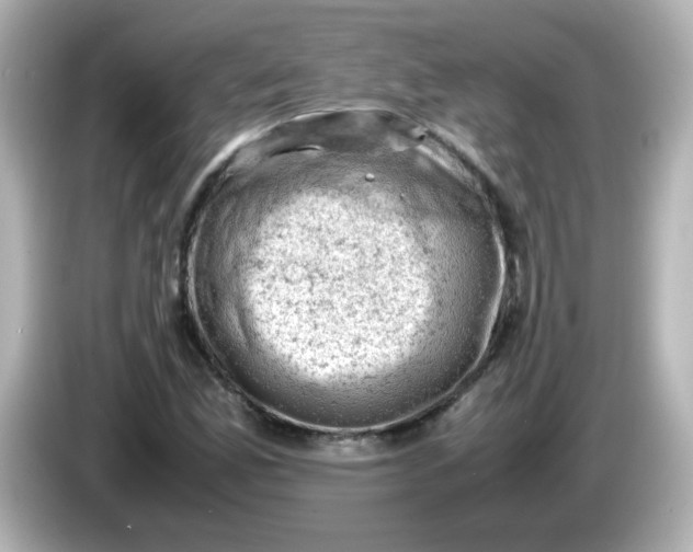 X0000086031165200704091127