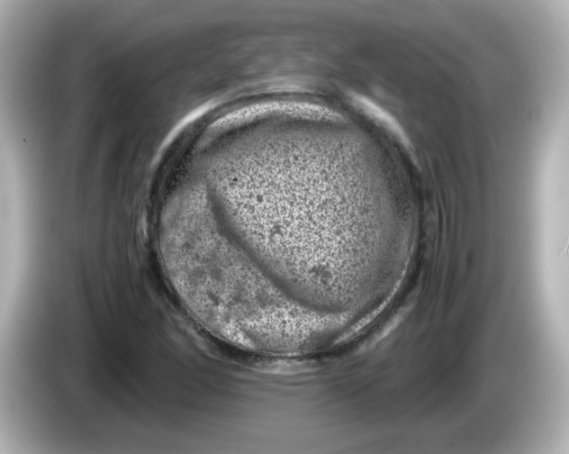 X0000086031166200704091127