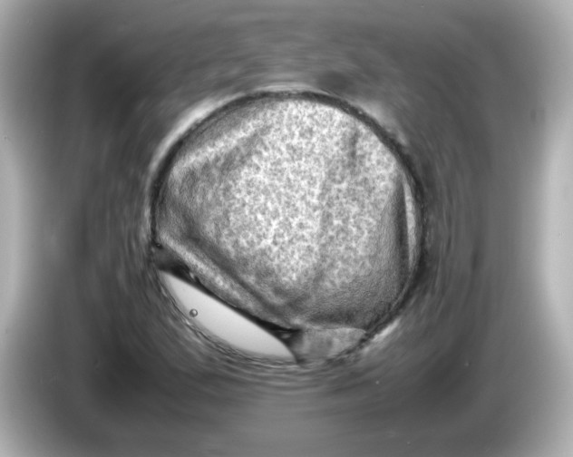 X0000086031167200704091127