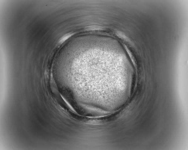 X0000086031169200704091127