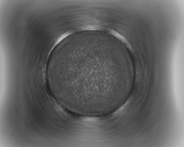 X0000086031170200704091127