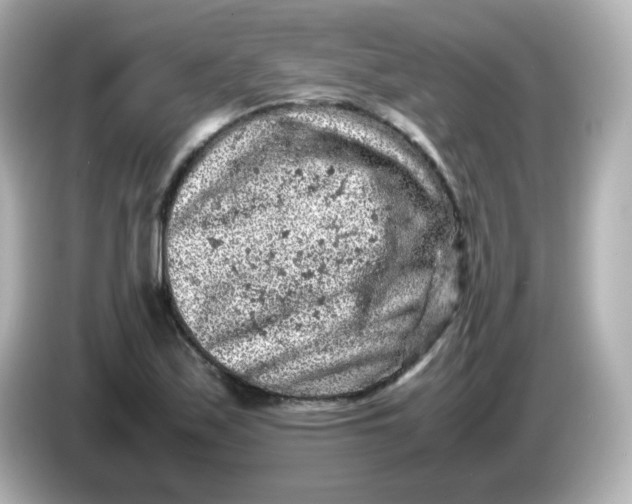 X0000086031171200704091127