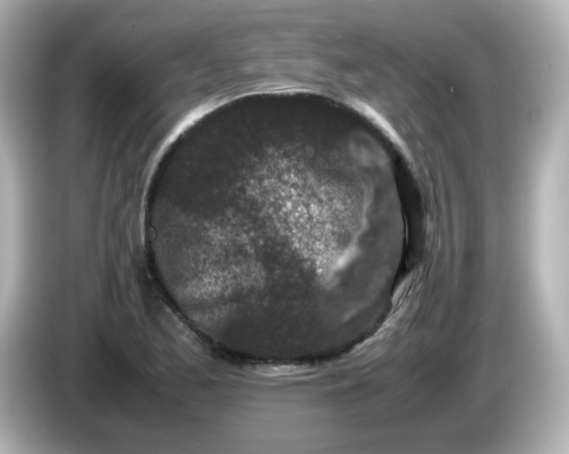 X0000086031173200704091127