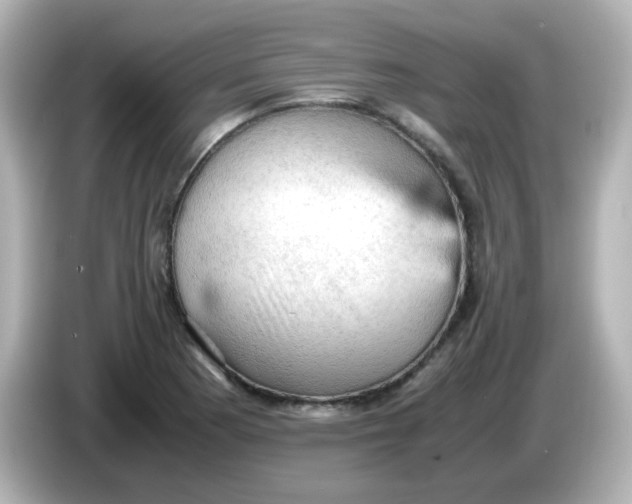 X0000086031177200704091127