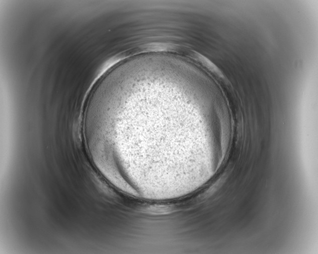 X0000086031178200704091127