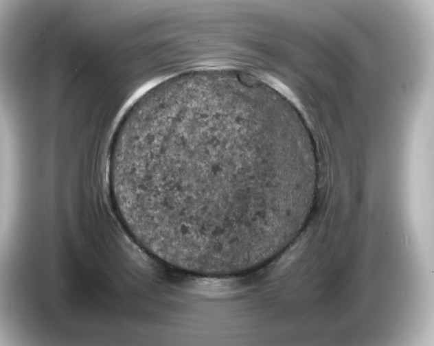 X0000086031179200704091127