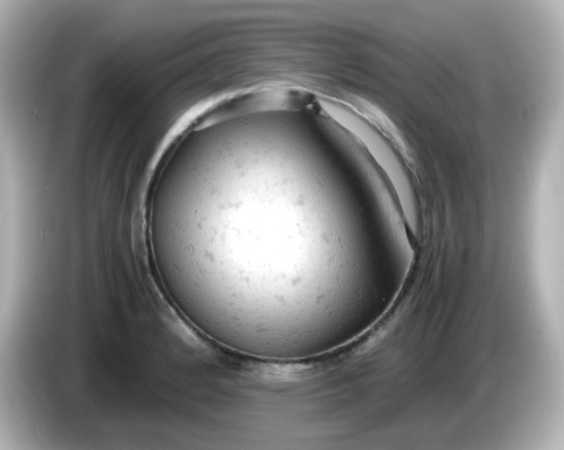 X0000086031184200704091127