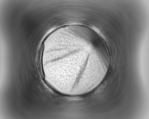 X0000086031189200704091127