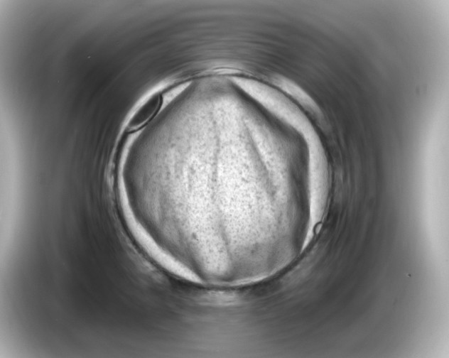 X0000086031190200704091126