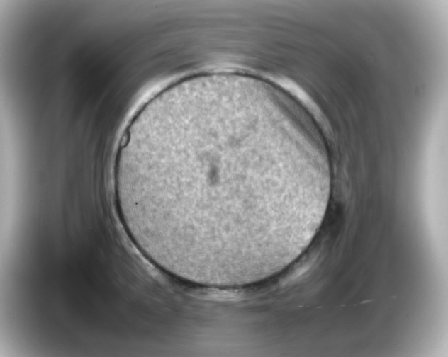 X0000086031191200704091126