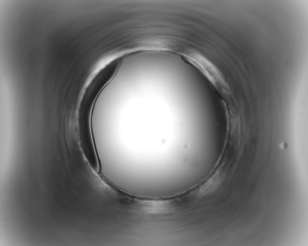 X0000086031192200704091126