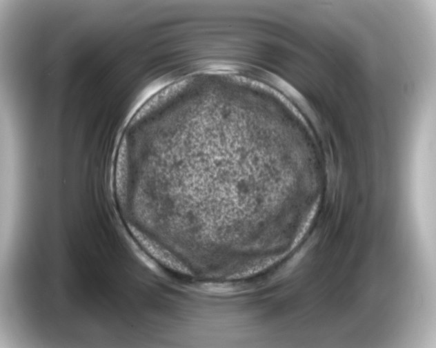 X0000086031194200704091126