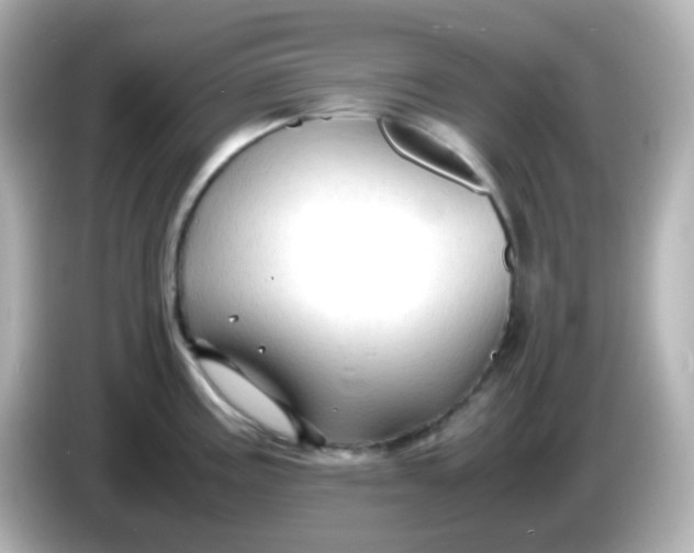 X0000086031195200704091126