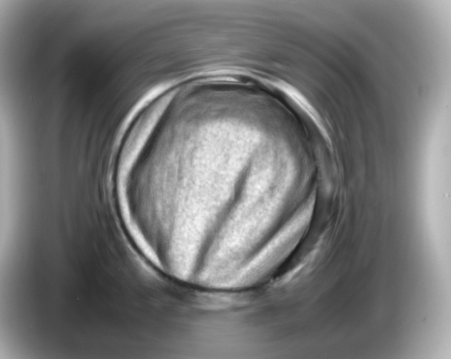 X0000086031197200704091126