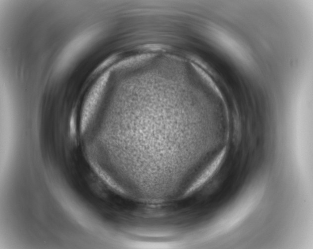 X0000086031198200704091126