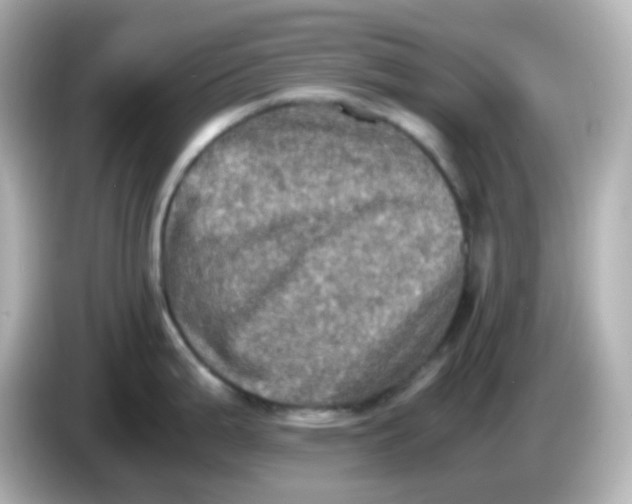 X0000086031199200704091126