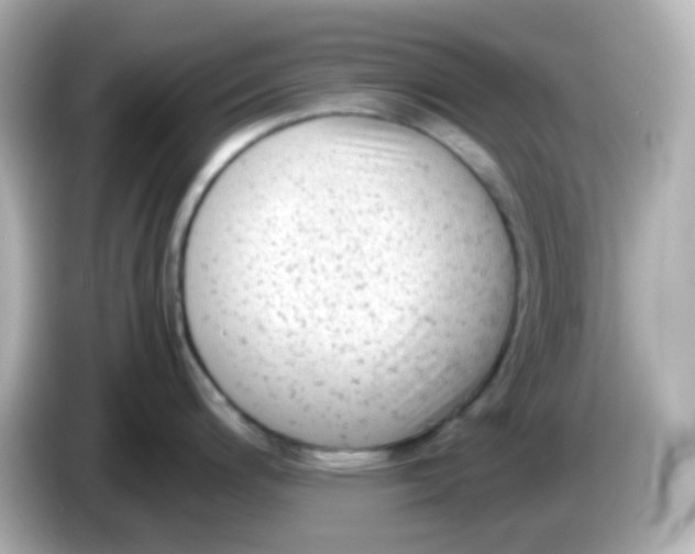 X0000086031200200704091126