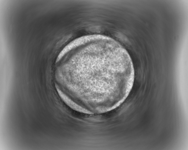 X0000086031201200704091126