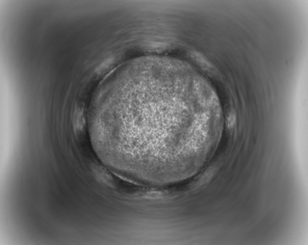 X0000086031204200704091126