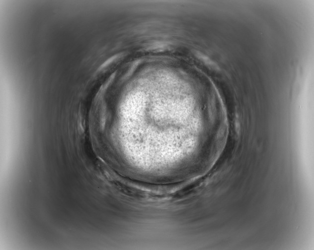 X0000086031206200704091126