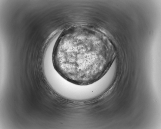 X0000086031210200704091126