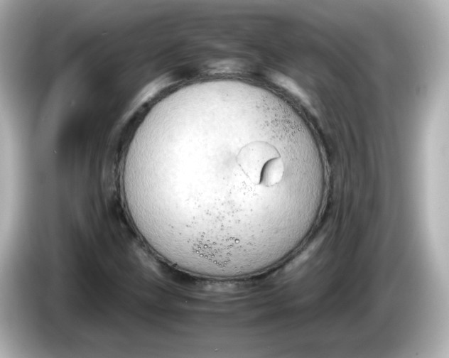 X0000086031211200704091126