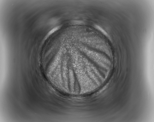 X0000086031213200704091126