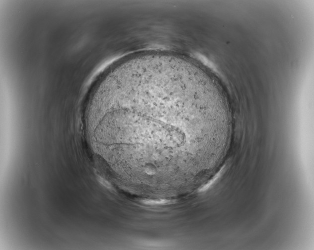 X0000086031215200704091126