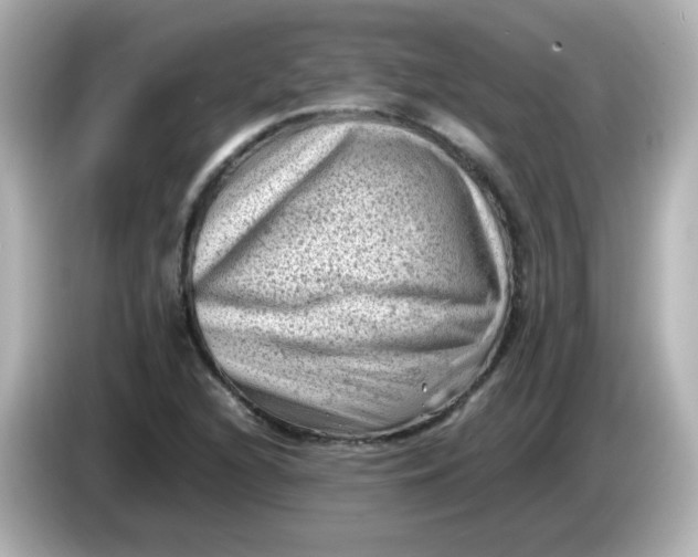 X0000086031216200704091126