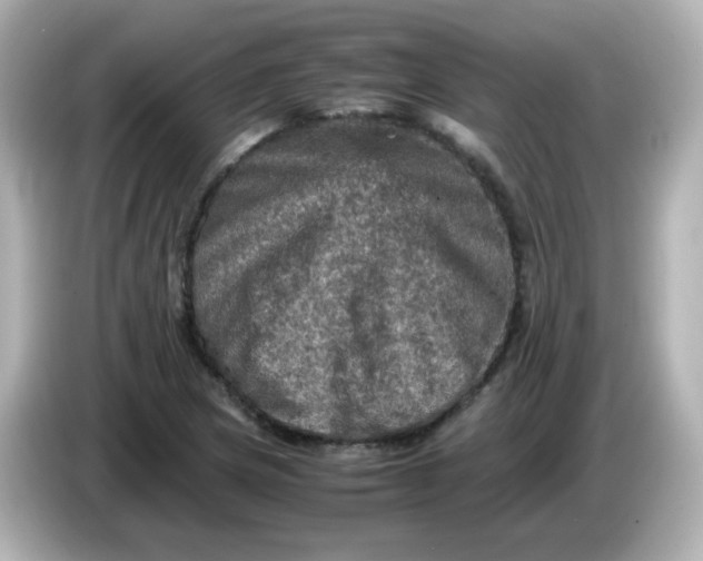 X0000086031217200704091126