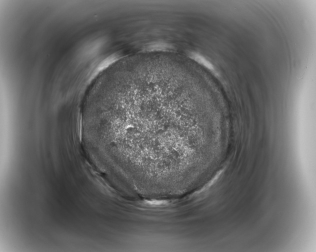 X0000086031219200704091126