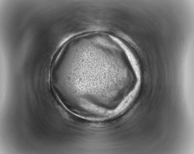 X0000086031220200704091126