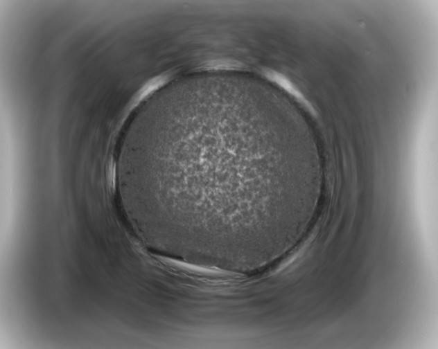 X0000086031221200704091126