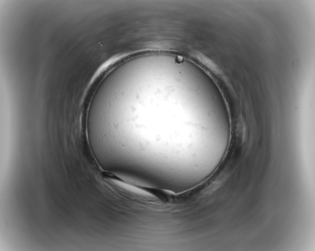 X0000086031222200704091126