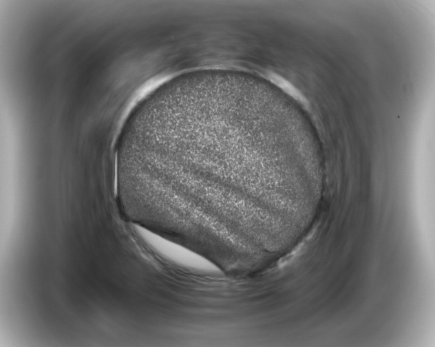 X0000086031223200704091126