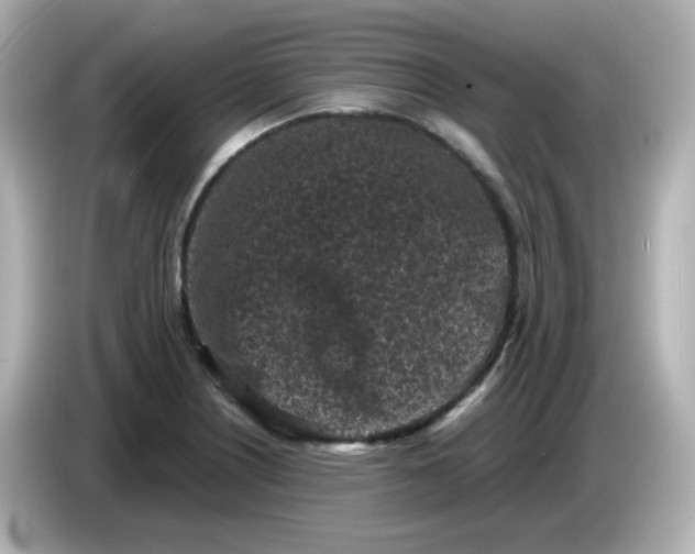 X0000086031226200704091126